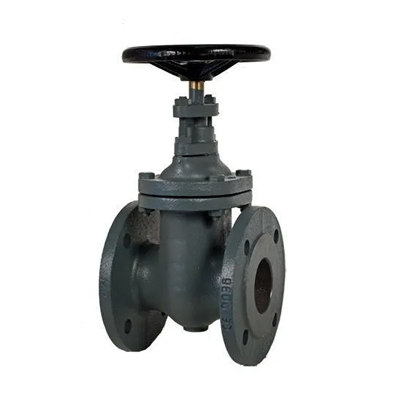 Gate Valve Exporter in India