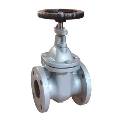 Gate Valve Exporter in Niger